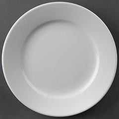 Mejores alternativas a los platos de porcelana para servir arroces