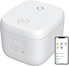 Instrucciones para usar una arrocera eléctrica compacta