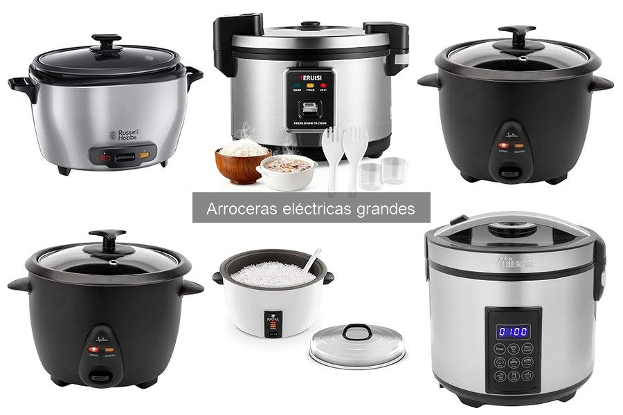 Alternativas a Arroceras Eléctricas Grandes: Mejores Opciones