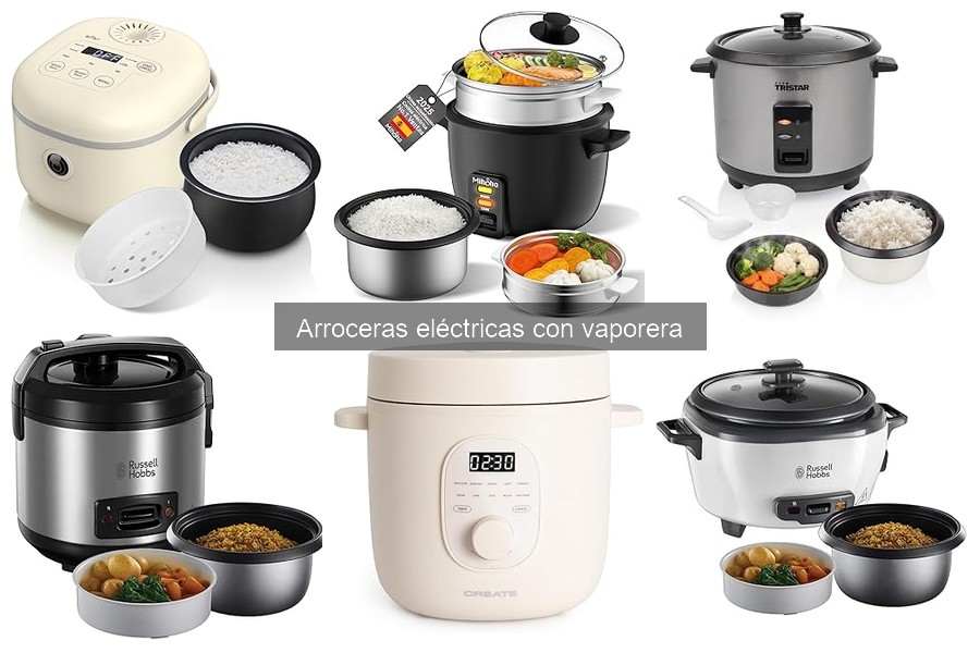 Alternativas a la arrocera eléctrica con vaporera