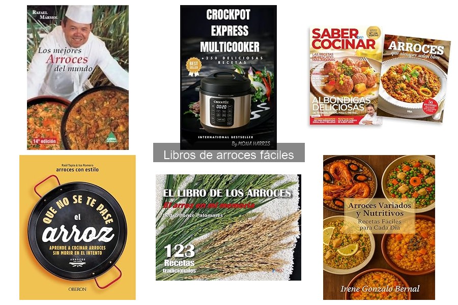 ** Alternativas a libros de arroces fáciles: cocina moderna