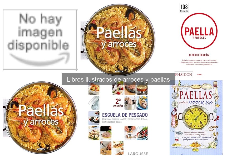 Alternativas a los libros ilustrados de arroces y paellas