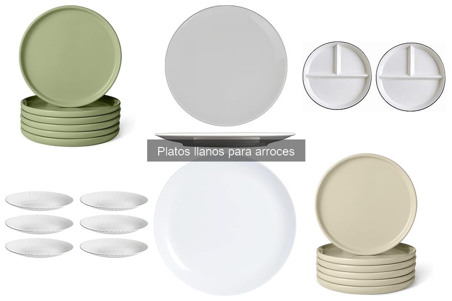 Alternativas a platos llanos para servir arroces