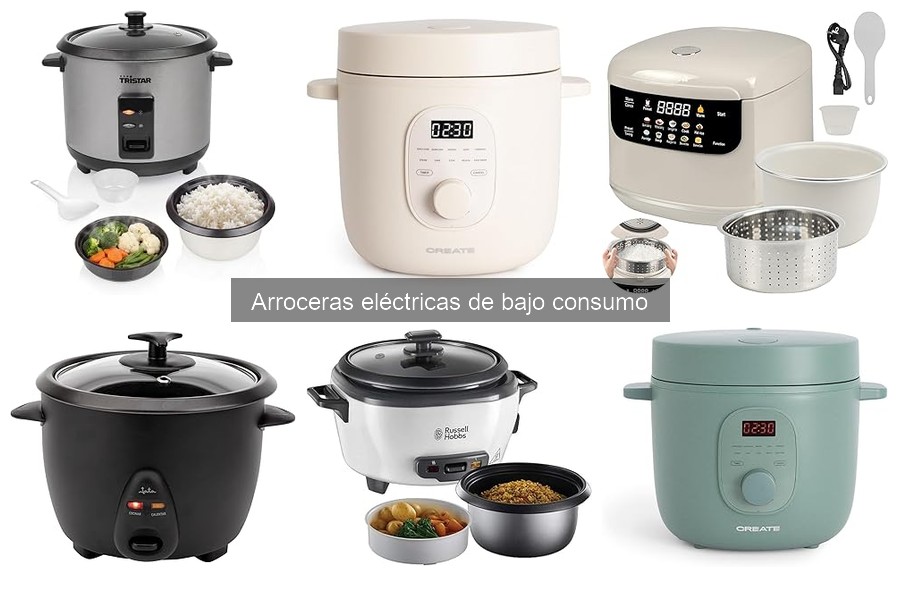 Cómo elegir una arrocera eléctrica de bajo consumo adecuada