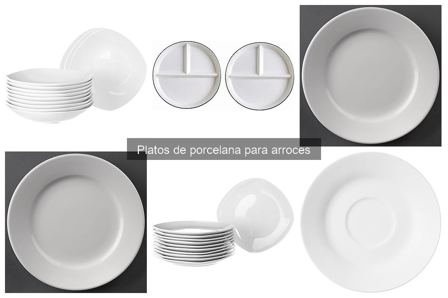 Comparativa: Platos de porcelana vs. cerámica para arroces