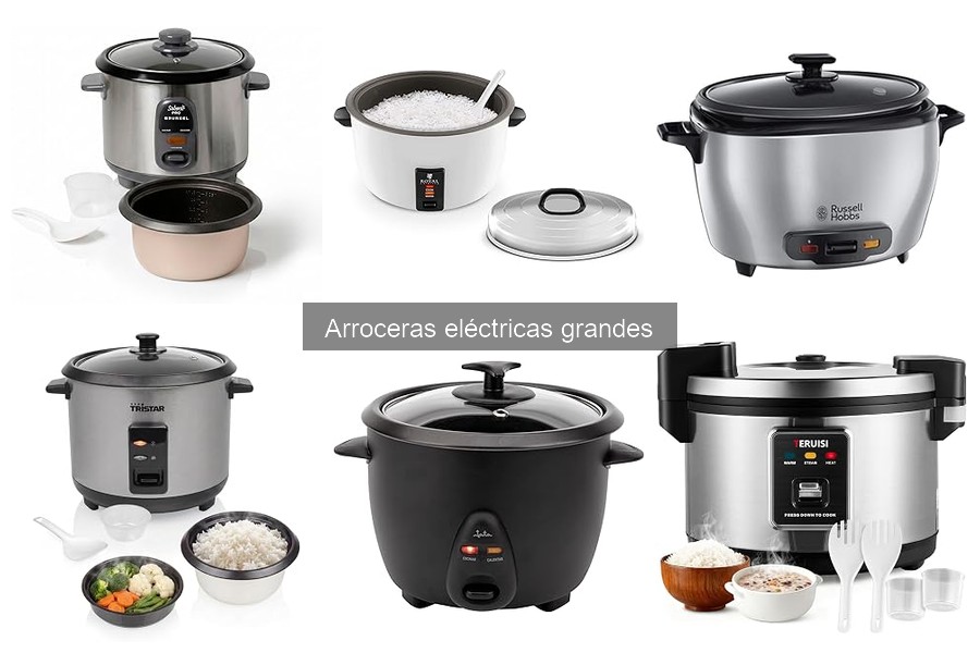 Consejos para Cocinar Arroz Perfecto en Arroceras Grandes