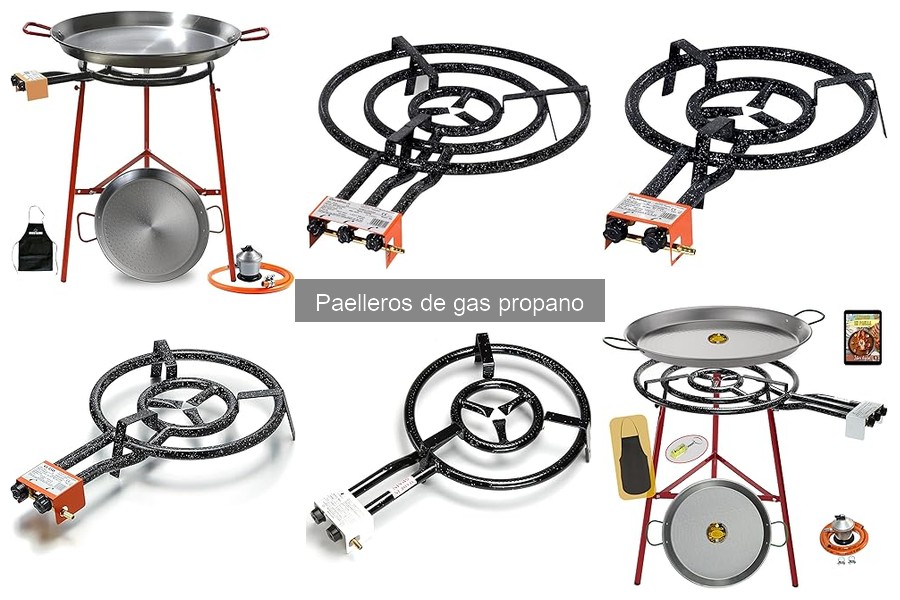 Precios y Dónde Comprar un Paellero de Gas Propano