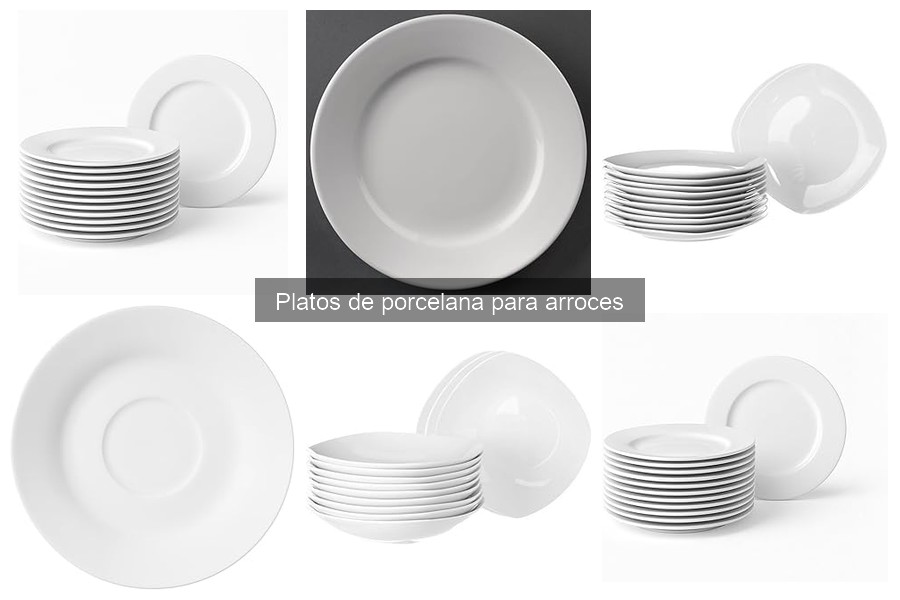 ¿Qué son los platos de porcelana para arroces? Guía completa