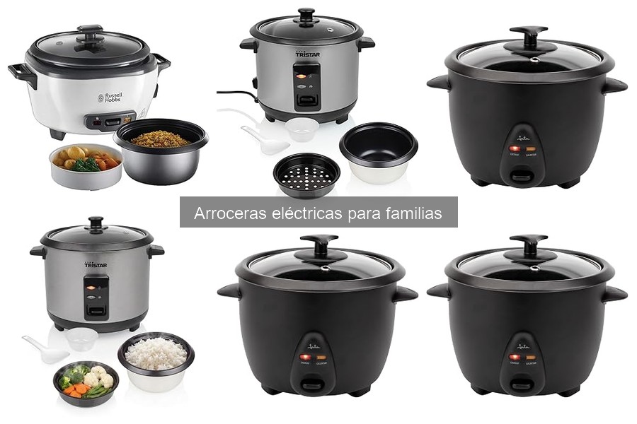 Tipos de Arroceras Eléctricas: ¿Cuál Elegir para Tu Familia?